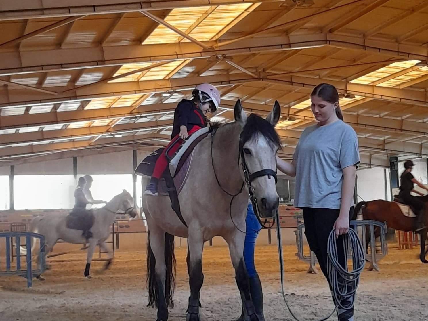 Estagiária a segurar um cavalo durante uma aula num picadeiro coberto